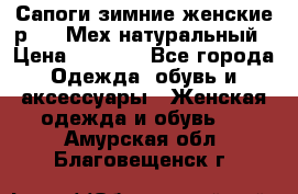 Сапоги зимние женские р.37. Мех натуральный › Цена ­ 7 000 - Все города Одежда, обувь и аксессуары » Женская одежда и обувь   . Амурская обл.,Благовещенск г.